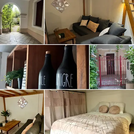 Ecrin De Verdure Hyper Centre Avec Jardin Commun Apartmán *