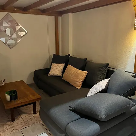 Ecrin De Verdure Hyper Centre Avec Jardin Commun *