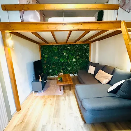 Ecrin De Verdure Hyper Centre Avec Jardin Commun * Annecy