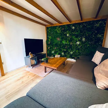 Apartment Ecrin De Verdure Hyper Centre Avec Jardin Commun *