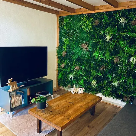 Ecrin De Verdure Hyper Centre Avec Jardin Commun Annecy