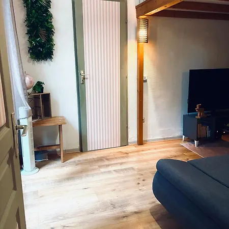 Lejlighed Ecrin De Verdure Hyper Centre Avec Jardin Commun *