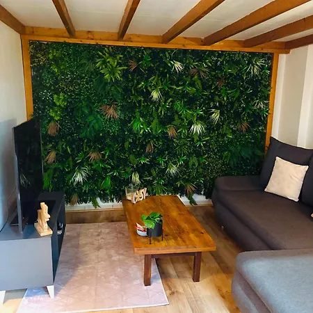 Ecrin De Verdure Hyper Centre Avec Jardin Commun Apartment