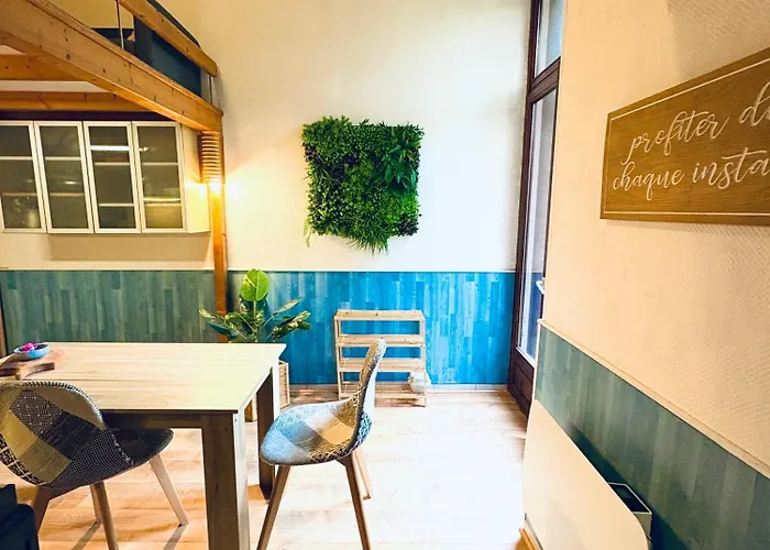 Apartament Ecrin De Verdure Hyper Centre Avec Jardin Commun Annecy