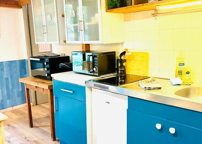 Ecrin De Verdure Hyper Centre Avec Jardin Commun Apartament *