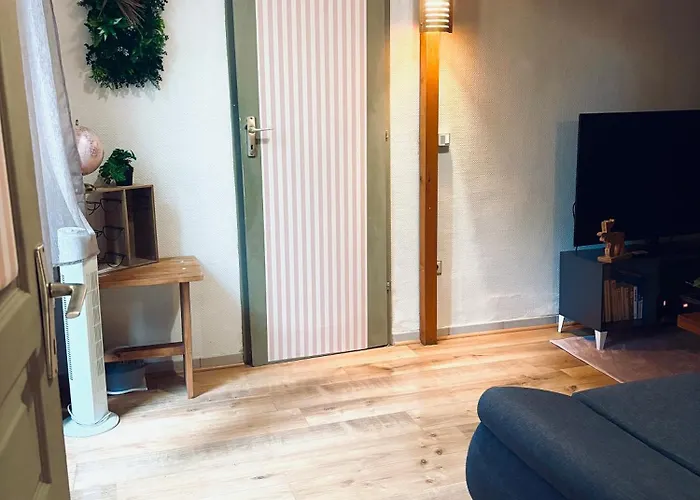Apartament Ecrin De Verdure Hyper Centre Avec Jardin Commun *
