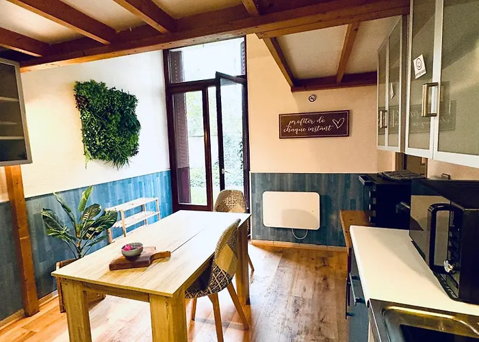 Ecrin De Verdure Hyper Centre Avec Jardin Commun Apartament