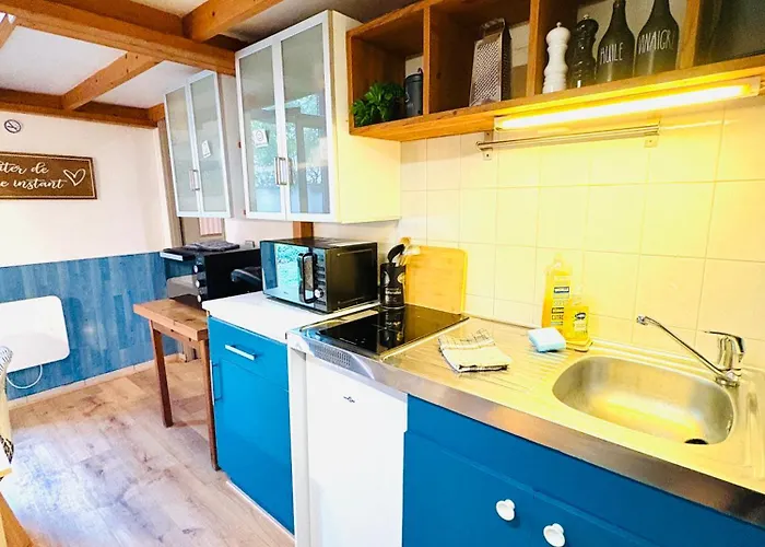 Ecrin De Verdure Hyper Centre Avec Jardin Commun *